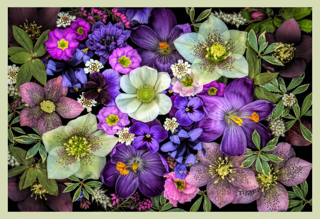 Early Springtime - Alana Starkweather